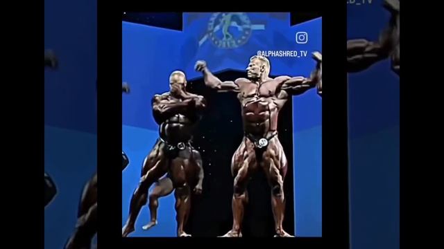 InShot_20260411_093219154.mp4