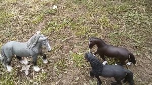 1 серия сериала "Дикий табун"