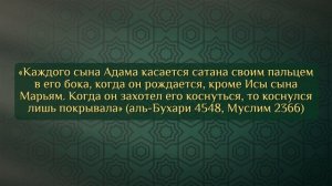8 Последний Пророк и Посланник - Иисус Христос или Мухаммад?