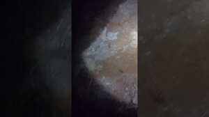 Обзор ПОТАЙНОЙ КОМНАТЫ