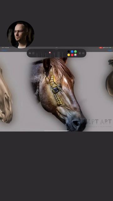 Костные ориентиры #анималистика #лошадь