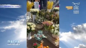 🕊Год назад от нас отошел ко Господу любимый батюшка-схиархимандрит Илий.