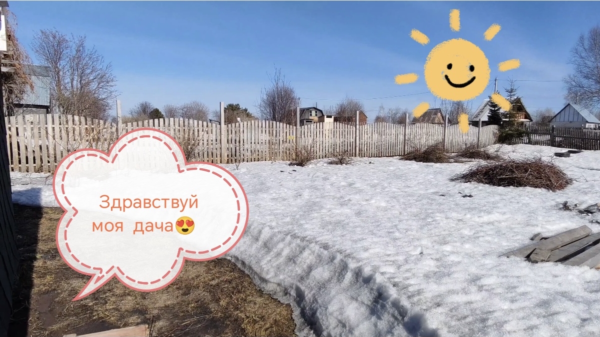 Уютный влог: Я была на даче🥹 Цветы купила 💐