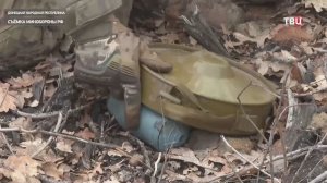 В ДНР продолжается разминирование освобождённых территорий