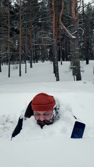 Выживание в зимнем лесу