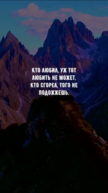 1046 Цитата дня. Мотивация.