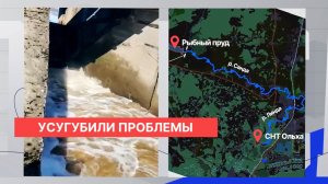 Садоводы в Борском округе считают, что их участки затоплены из-за сброса воды на плотине реки Санда