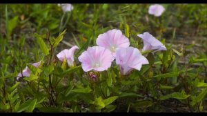 Произнесите эти слова в ночь перед Пасхой.