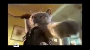 ВЗЛОМ ТЕЛЕКАНАЛА ТНТ В 2011 ГОДУ!