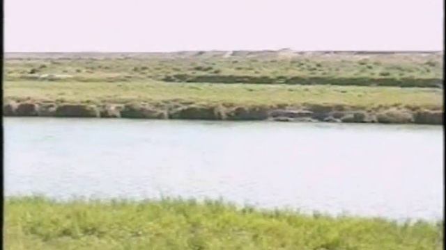 прогулки по городу