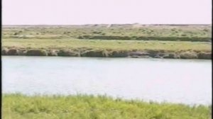 прогулки по городу