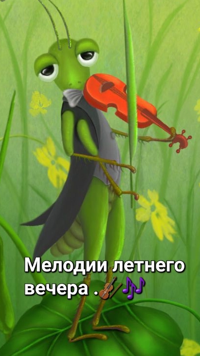Мелодия летнего вечера !