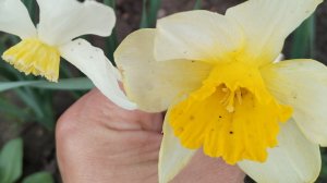 МОИ ЖИТЕЙСКИЕ ДЕЛА✨ ГОТОВЛЮСЬ К ПРАЗДНИКУ