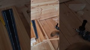 1000055685.mp4 (Собака наблюдает за устройством лестницы на 2-ой этаж в доме А-фрейм)