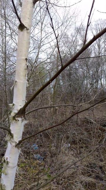 Предпасхальная Суббота