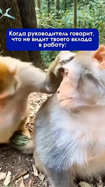 Как это не видит? Сейчас покажем!#автозапчасти #работа #грузовыезапчасти