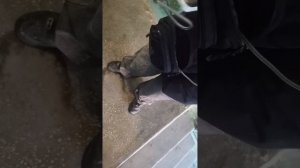 Продолжение лестниц😈😈