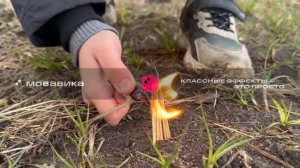 эксперимент