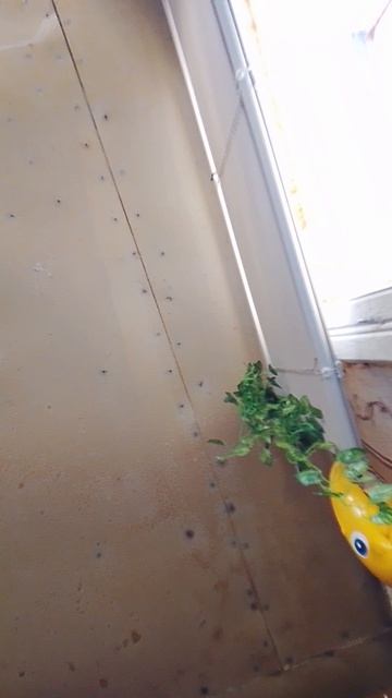 второй дубль подготовки.