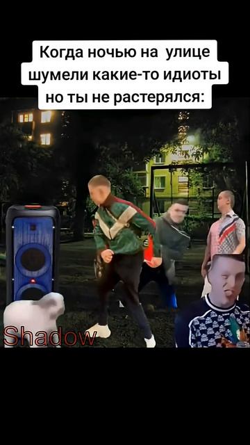 Когда ночью на улице шумели какие-то идиоты но ты не растерялся... #Shadow #MrShadow  #mellstroy