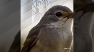 Христос воскресе!