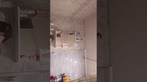 Утренний влог