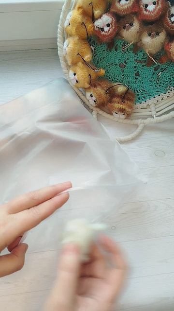 Отправила 33 котика заказчику