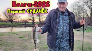 Виброхвост и первый СУДАК на Волге! Рыбалка в апреле - 2026 !!  Михалыч в Астрахани !!!