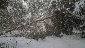 Denairus - Зимняя сказка