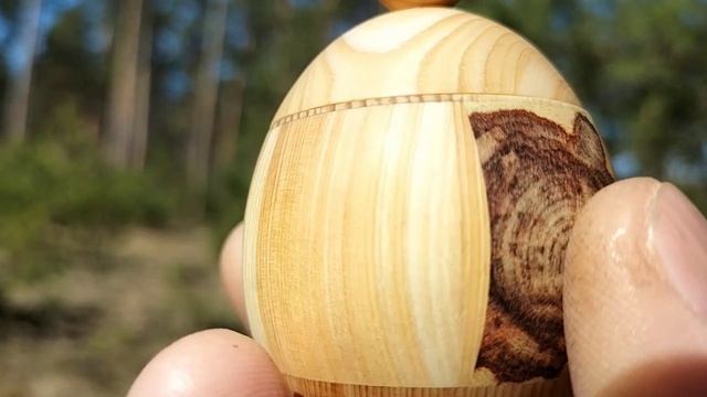 Шкатулка в апрельском лесу на сосне с первоцветами