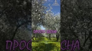 ПРОСТО ВЕСНА