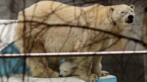 Герда охраняет сон медвежонка..