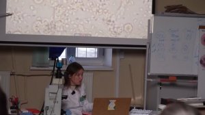 Лимон может вызвать инсульт? Почему один продукт — лекарство, а другой — яд?