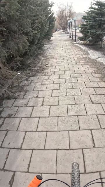 Три подружки как раз занимают полностью велодорожку #велопоездка #велосипед #Тюмень