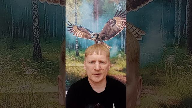 Причина всех бед