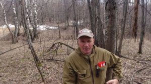 100% защита от клещей, это комплексная защита. Альфациперметрин.