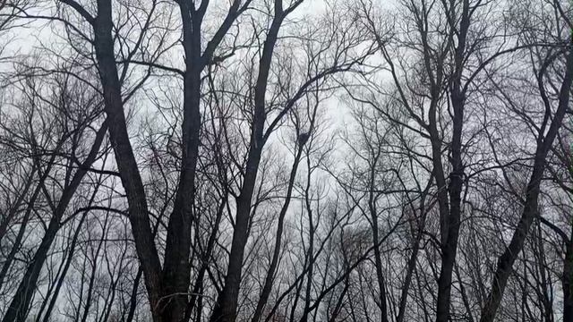 Поездка на природу