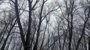 Поездка на природу