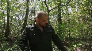 Клещи сидят на деревьях и прыгают вам на голову - нет