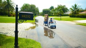 Настя и друзья в челлендже картонная школа против пуши