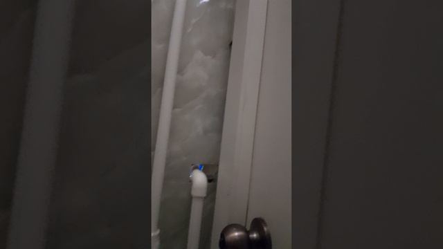 прятки часть 2