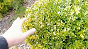 Прогулка в саду 11.04.26