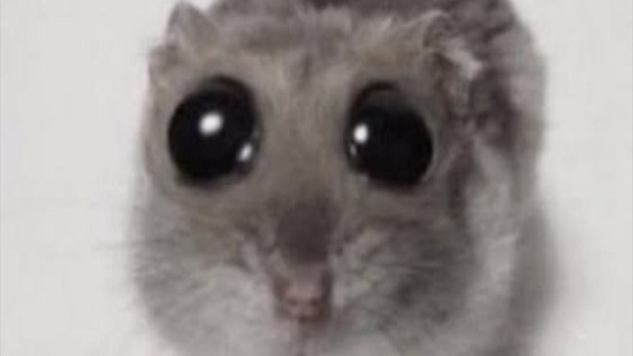 Ода души меня канон шип❤️🩹❤️🩹❤️🩹(как его назвать хелп)