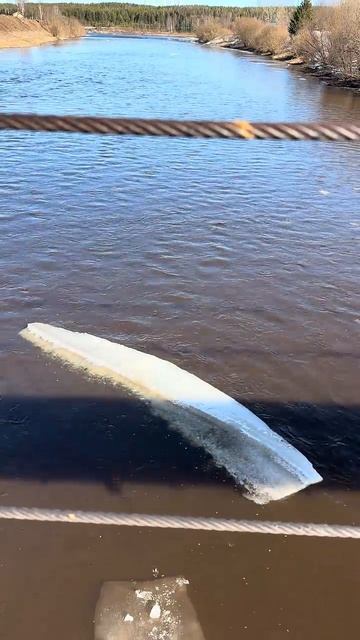 #Ухта …река Ухта впадает в Ижму…Республика Коми