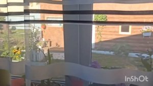 Живём_в_деревне,_пылесос_в_аренду_...ршова._Живем_в_деревне.___Дзен_5