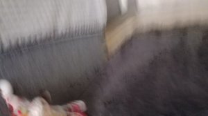 бан бан 5серия(серый) полу финал