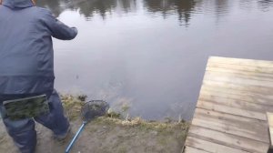 Светлые Горы Форель11 11.04.2026г.