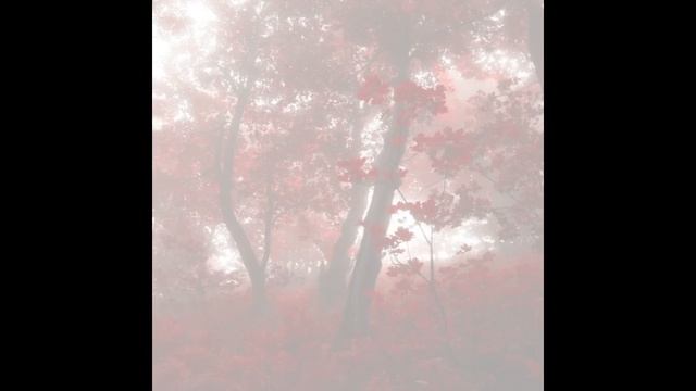 Баку пожиратель снов