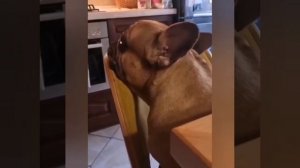 Да не хочу я твои печеньки😔))