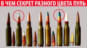 Зачем кончики пуль красят в разный цвет Интересные факты